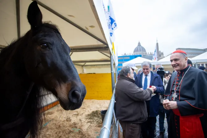 PHOTOS: Animals blessed in St. Peter’s Square for feast of St. Anthony Abbot
