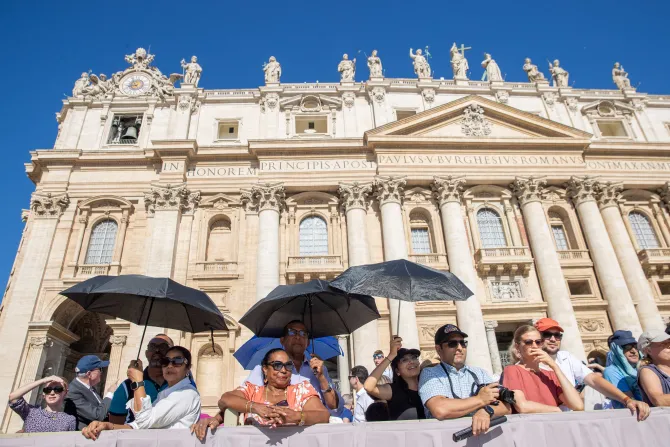 Pope Francis unveils plan for Vatican to go solar