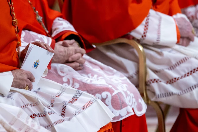 Analysis: What Pope Francis’ new cardinals reveal about future conclave