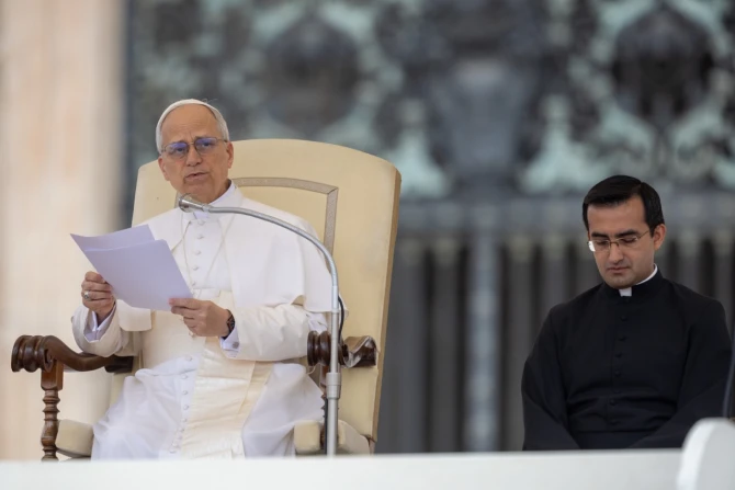 Pope Leo XIV appeals for end to hostilities in Gaza in first general audience