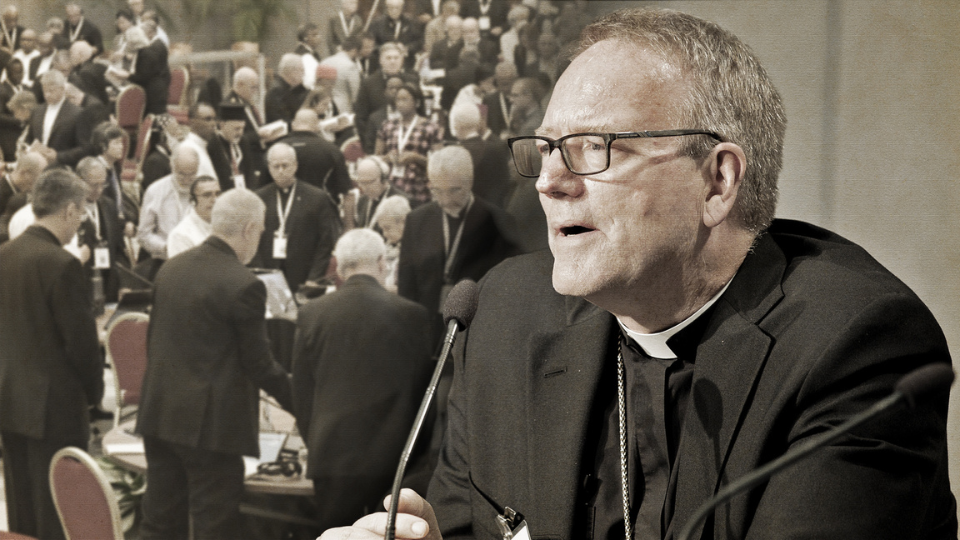 Bishop Barron Reflects on the Purpose and Direction of Synodality 