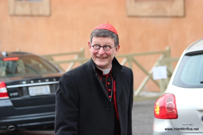 German cardinal on American pope: ‘I didn’t expect it’ but sees hope for synodality clarity