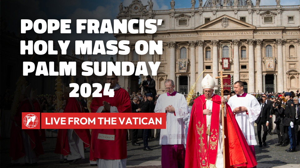 LIVE | Pope Francis' Holy Mass on Palm Sunday 2024