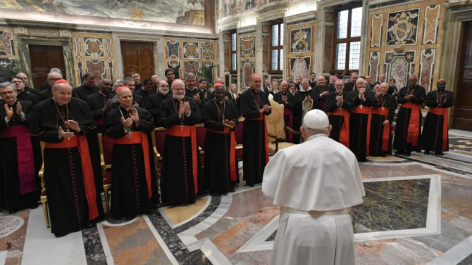 Explainer: What Do Dicastery For The Doctrine Of The Faith Consultants Do?