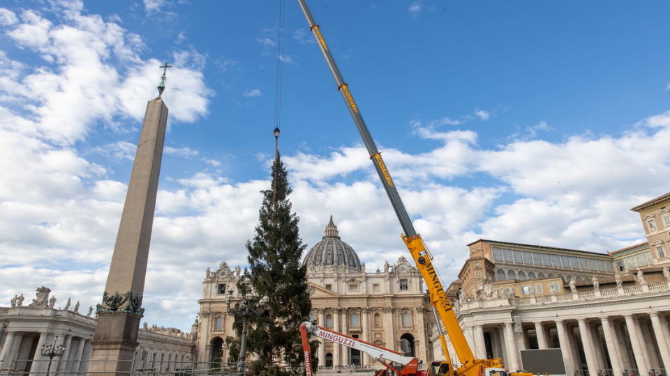 The Christmas Tree Arrives at the Vatican: Its Wood to be Made into Toys for Needy Children