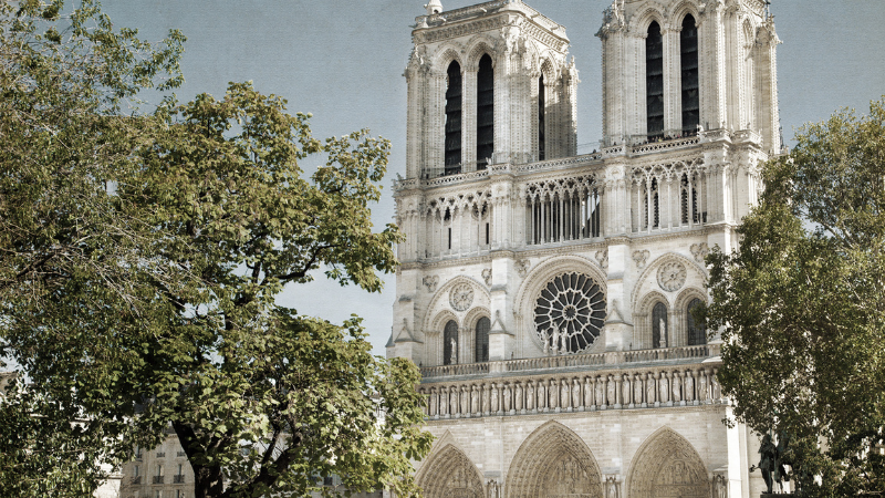 The Spiritual Rebirth Of Notre Dame Cathedral 