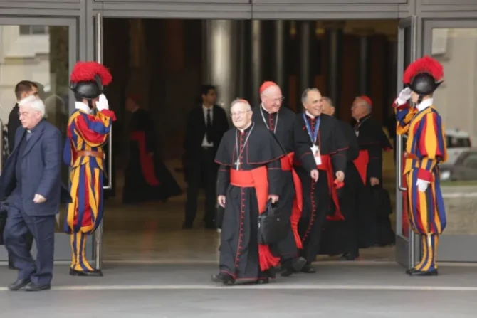 21 New Cardinals to Reflect Catholic Church’s Unity Amid Geographic Expansion