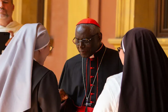 Cardinal Sarah Speaks Out Against Clergy Blessing Same-Sex Unions