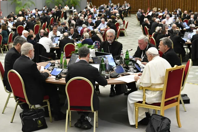 These are the members of the Synod on Synodality study groups