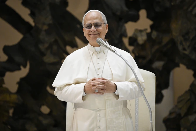 Pope Leo XIV recalls the ‘life and witness’ of St. Augustine on his feast day