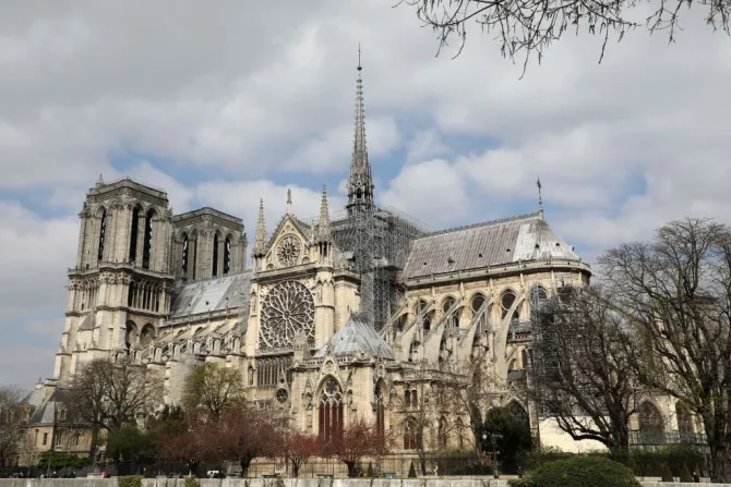 Pope Francis will not go to Paris for Notre Dame cathedral reopening