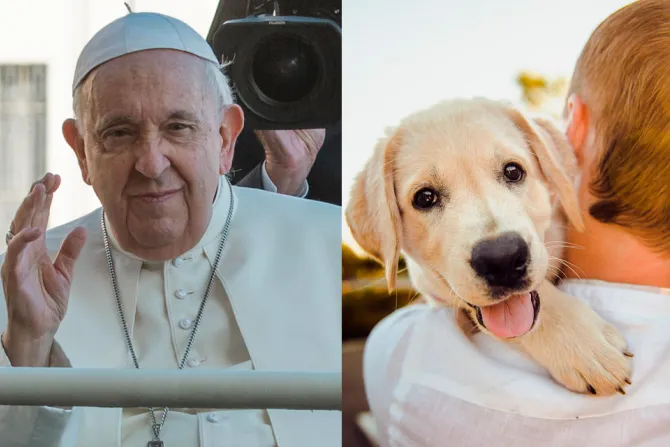 Pope Francis Laments That People Today Prefer Having a Puppy Over a Child