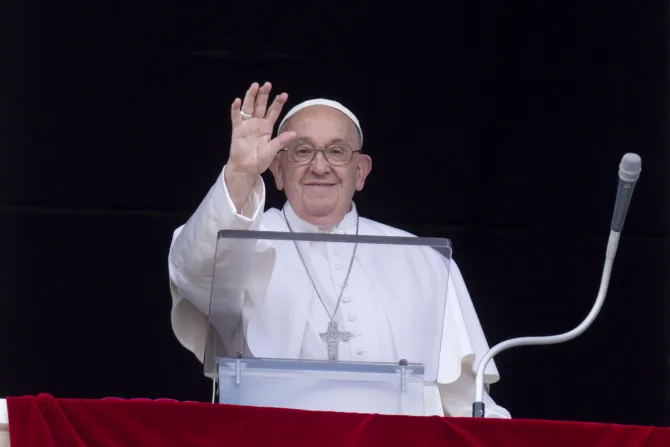 Pope Francis: The seeds of the Gospel take time to bloom