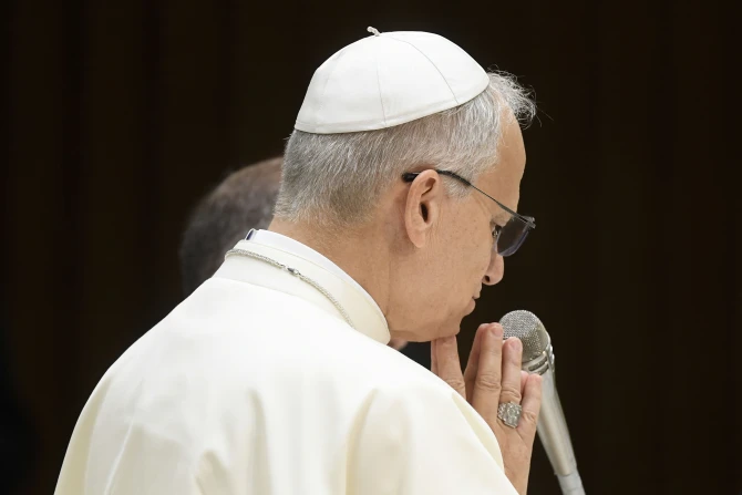 Pope Leo prays for victims of ‘terrible tragedy’ in Minneapolis Catholic school shooting