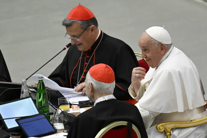 Pope Francis: Study groups to examine 10 Synod on Synodality themes through June 2025