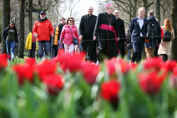 Dutch Bishops Offer Cautious Response to Vatican Blessing Guidance, Bucking Regional Trend   