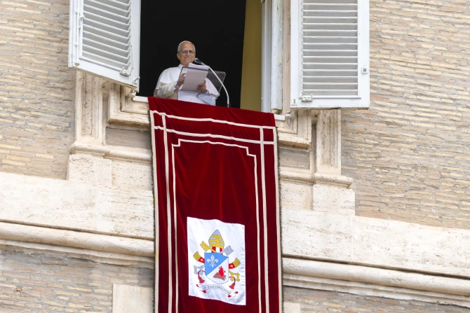 Pope Leo prays for Minneapolis school shooting victims, laments ‘pandemic of arms’