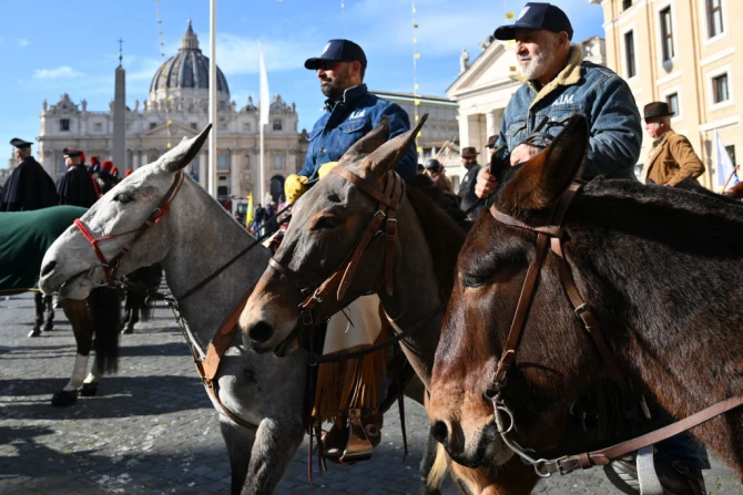 Italian Farmers Come to the Vatican for Blessing of Animals