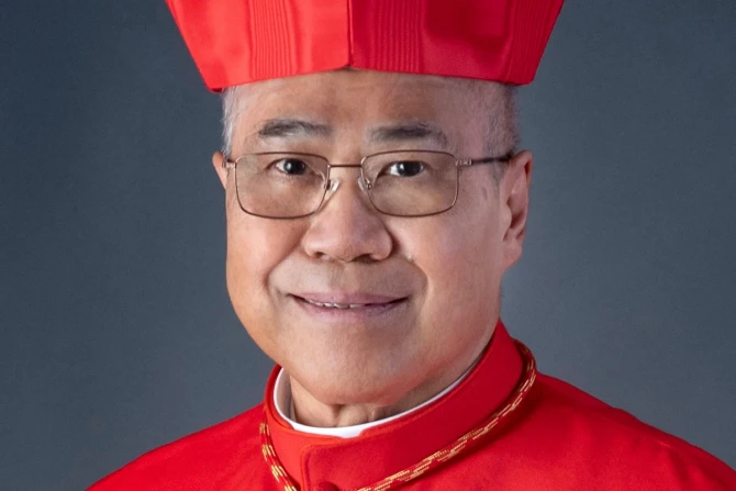 Cardinal Goh says he expects clarity in teaching from Pope Leo XIV